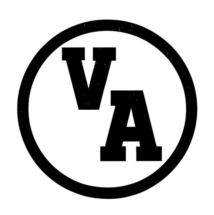 vividambition.us
