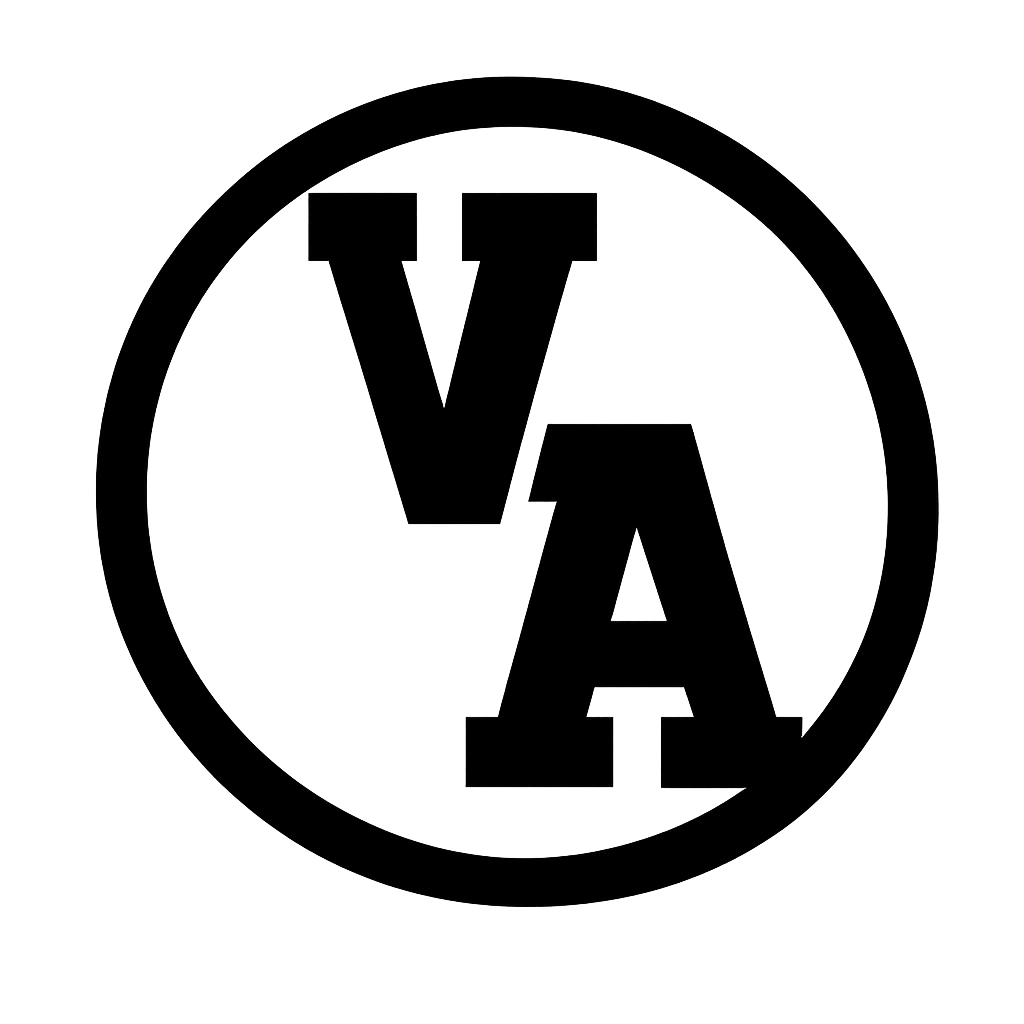 vividambition.us